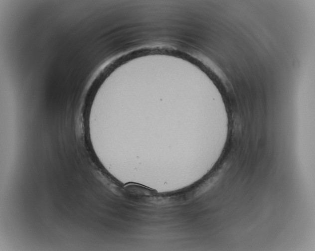 X0000115140927200911241503