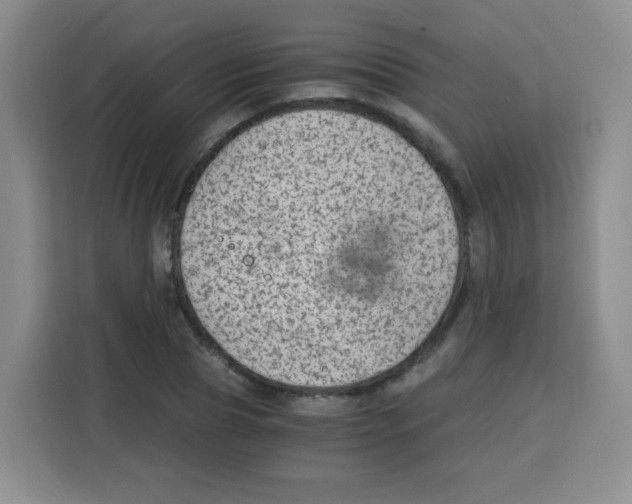 X0000115140929200911241503