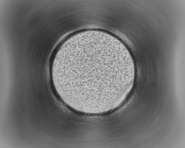 X0000115140934200911241503