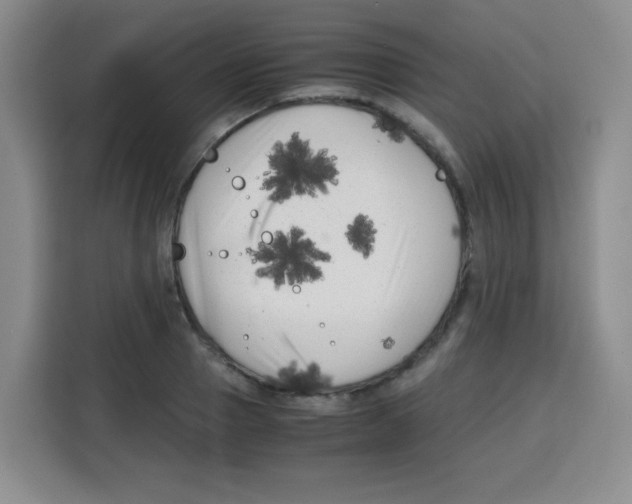 X0000115140937200911241503