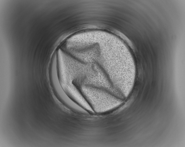 X0000115140938200911241503