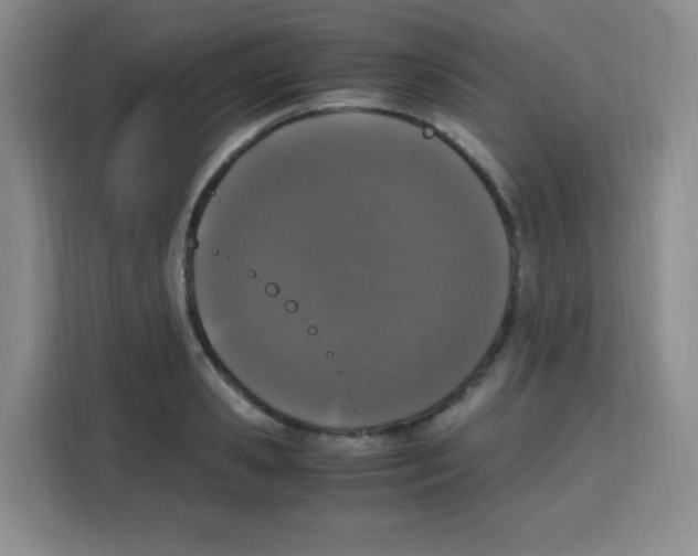 X0000115140941200911241503