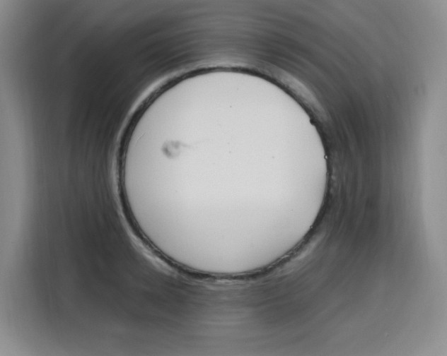 X0000115140942200911241503