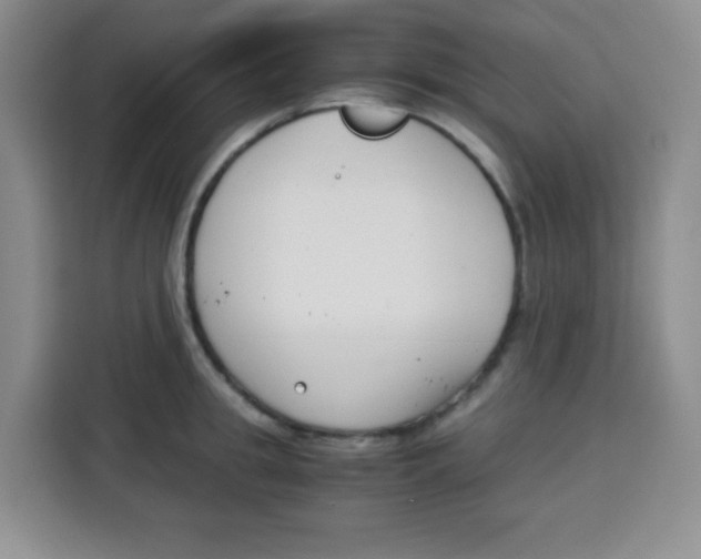 X0000115140949200911241503