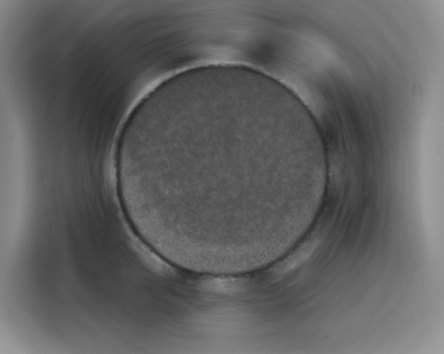 X0000115140950200911241503