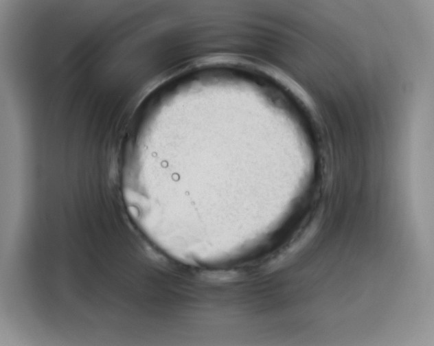 X0000115140953200911241503