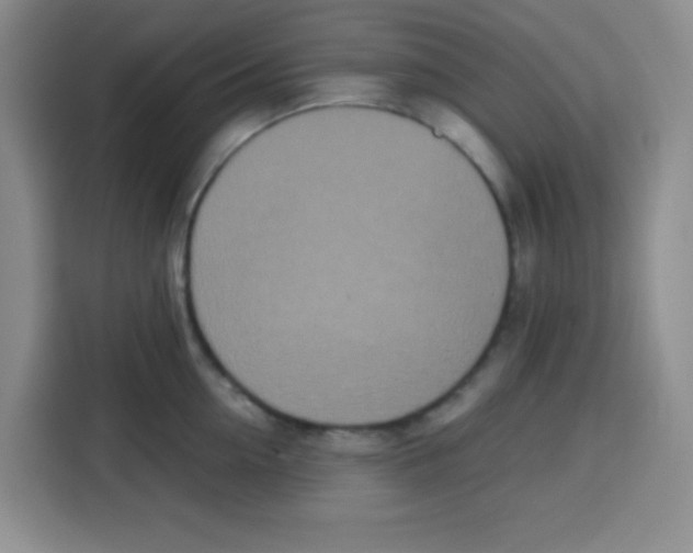 X0000115140954200911241503