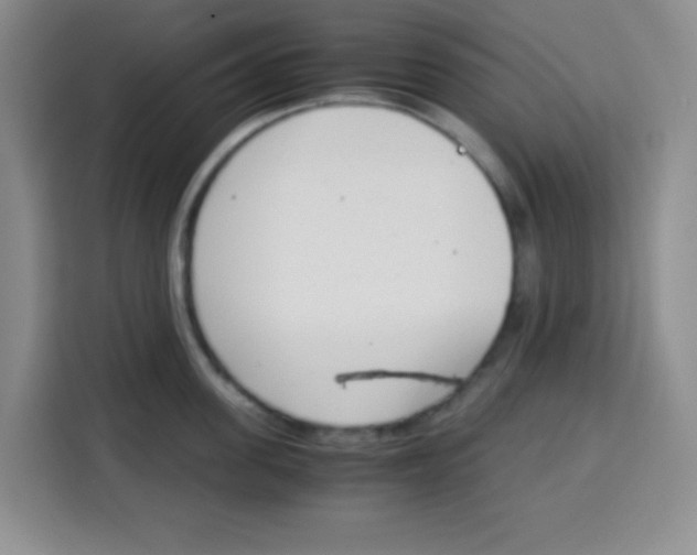 X0000115140955200911241503