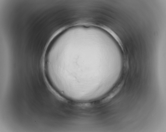 X0000115140957200911241503