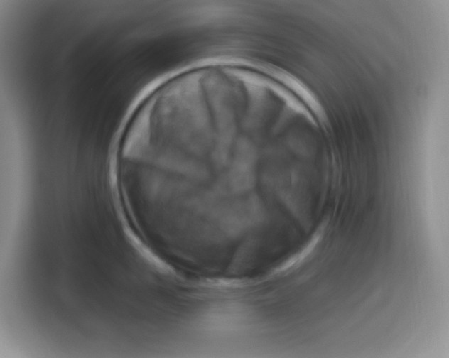 X0000115140958200911241503