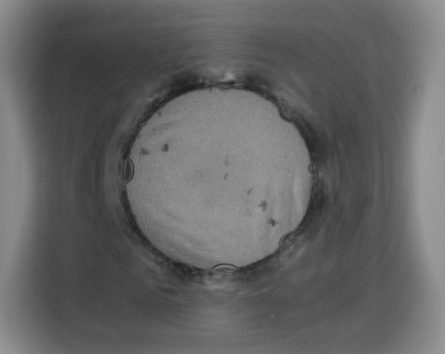 X0000115140961200911241502
