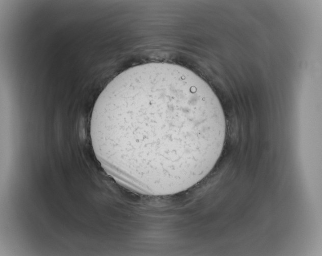 X0000115140962200911241502