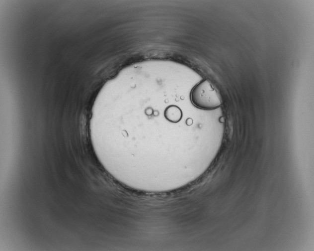 X0000115140964200911241502