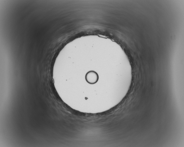 X0000115140965200911241502