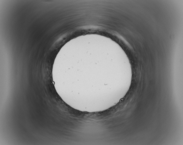 X0000115140967200911241502