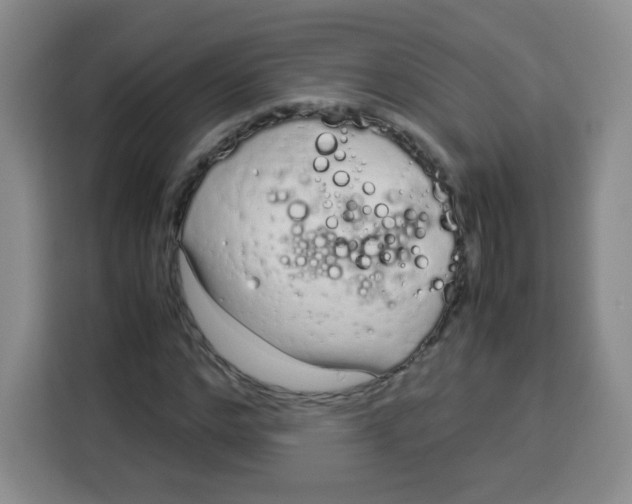 X0000115140968200911241502