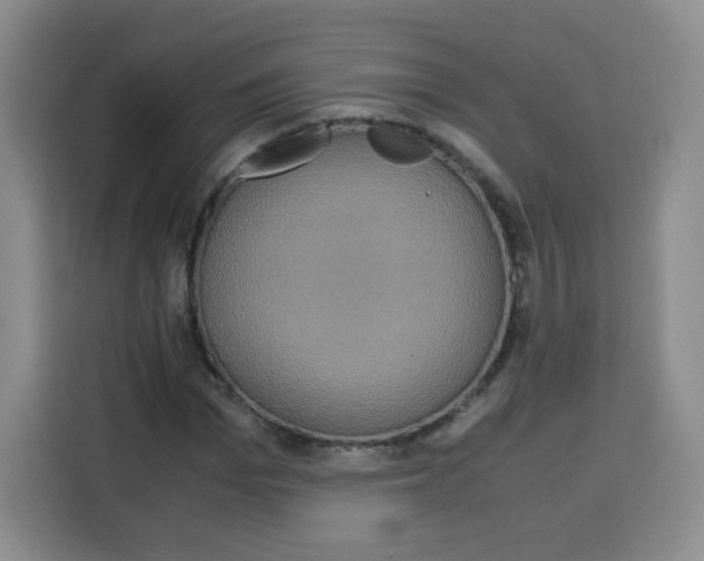 X0000115140969200911241502