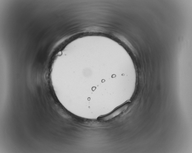 X0000115140971200911241502