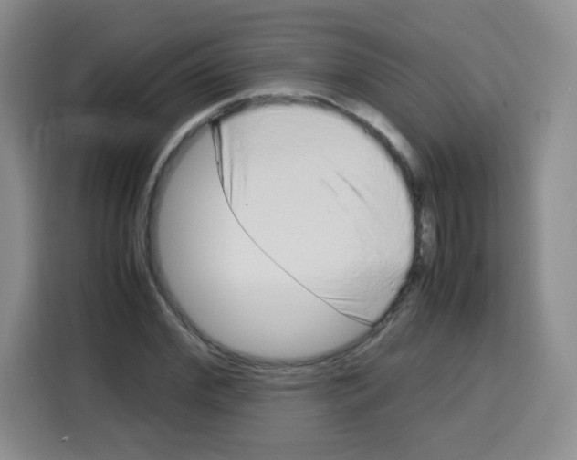 X0000115140972200911241502