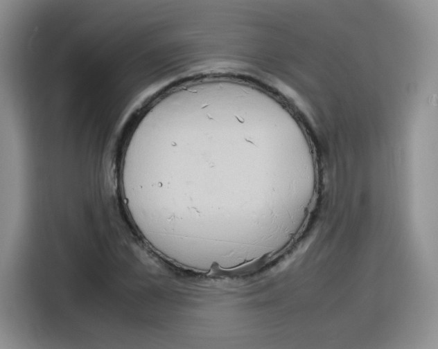 X0000115140973200911241502