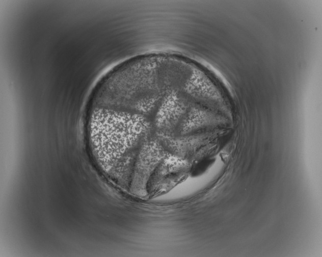 X0000115140975200911241502