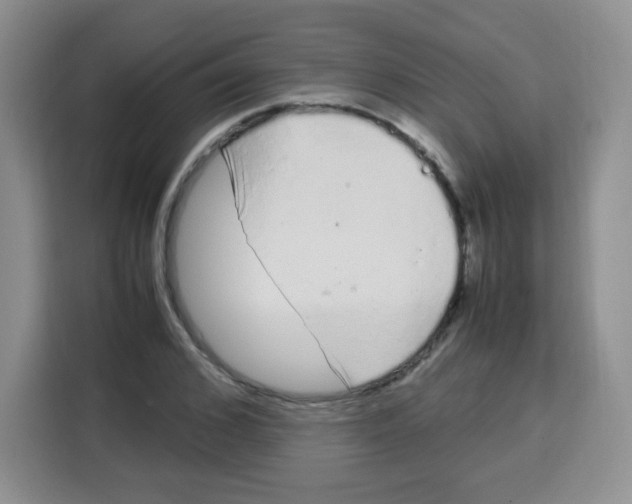 X0000115140976200911241502