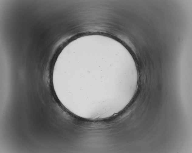 X0000115140979200911241502