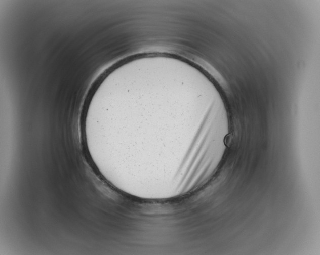 X0000115140980200911241502