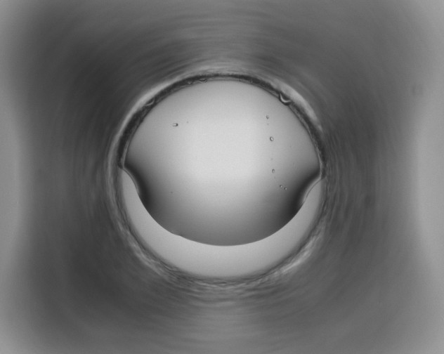 X0000115140981200911241502