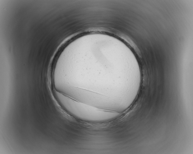 X0000115140984200911241502