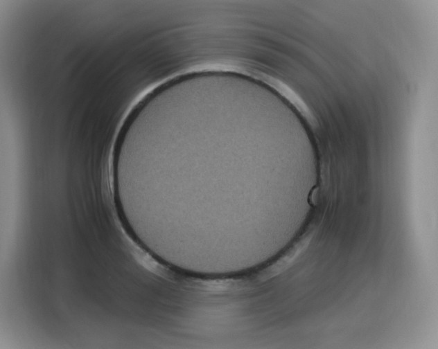 X0000115140988200911241502
