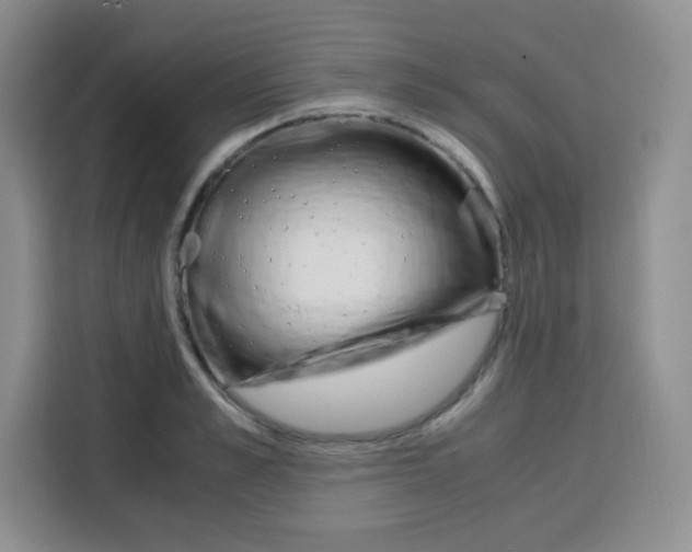 X0000115140989200911241502