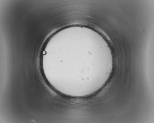 X0000115140991200911241502