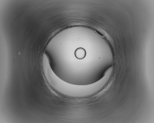 X0000115140993200911241502
