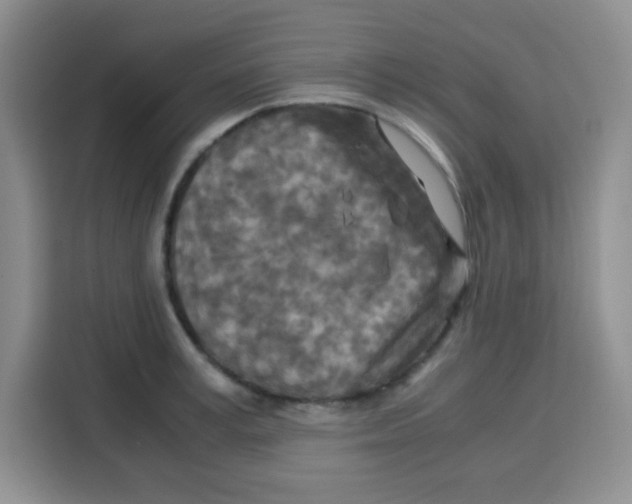 X0000115140995200911241502