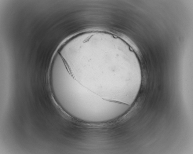 X0000115140996200911241502