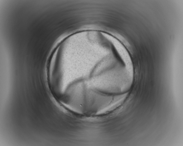 X0000115140998200911241502