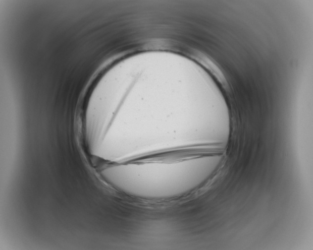 X0000115141000200911241502
