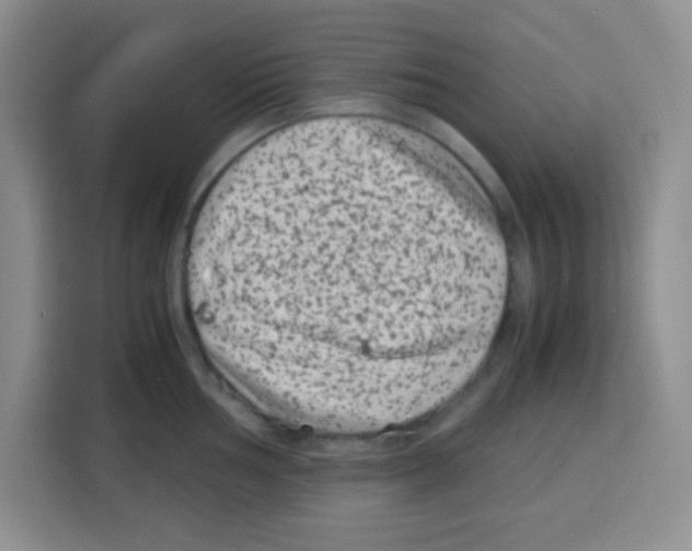 X0000115141002200911241502