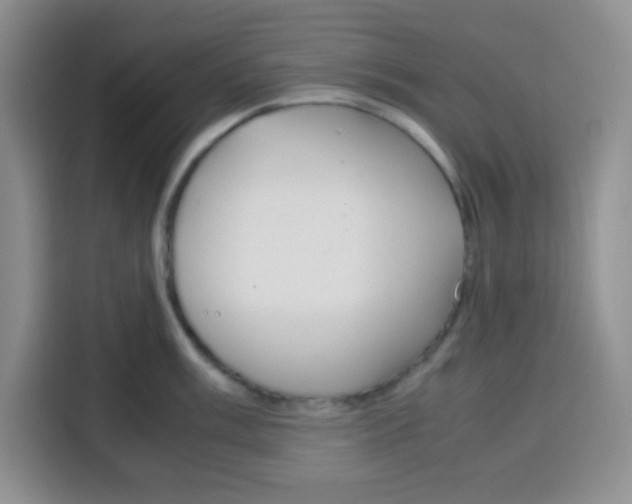 X0000115141003200911241502