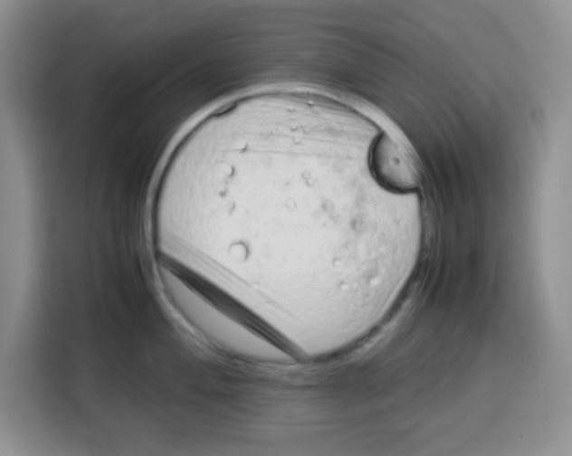 X0000115141004200911241502