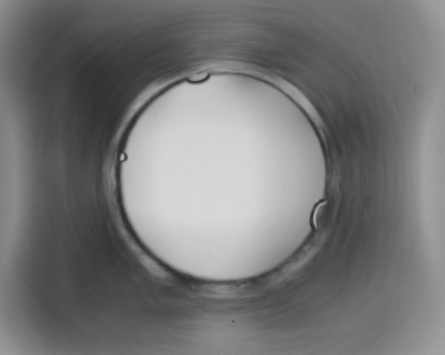 X0000115141005200911241502