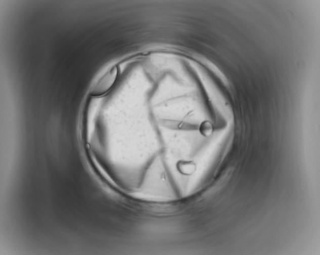 X0000115141007200911241502
