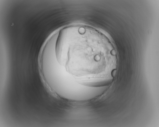 X0000115141008200911241502