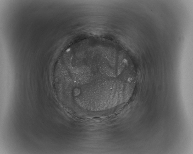 X0000115141009200911241501