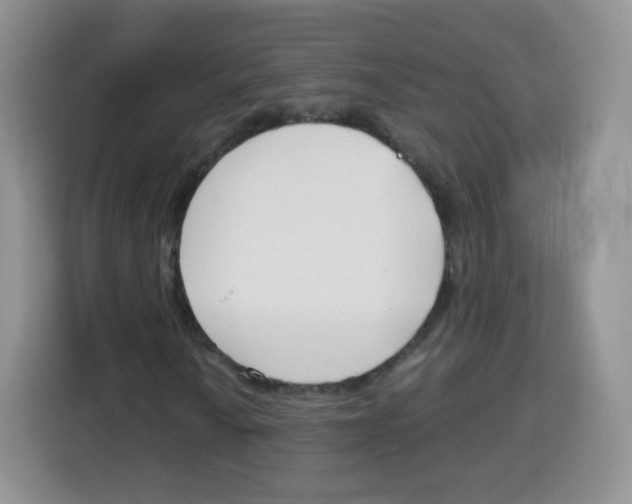 X0000115141010200911241501