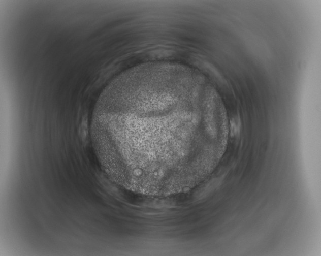 X0000115141011200911241501