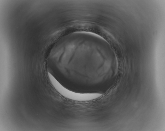 X0000115141013200911241501