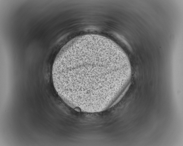 X0000115141015200911241501