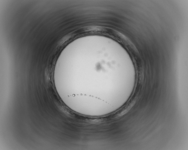 X0000115141017200911241501